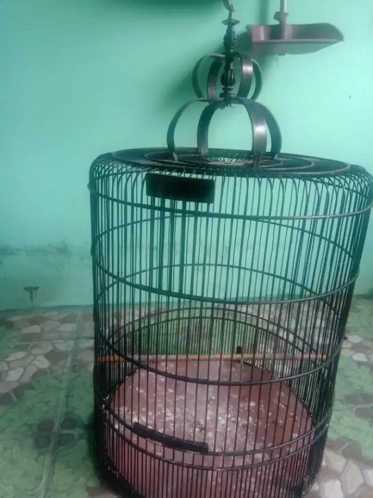 Kandang murai nomer 2