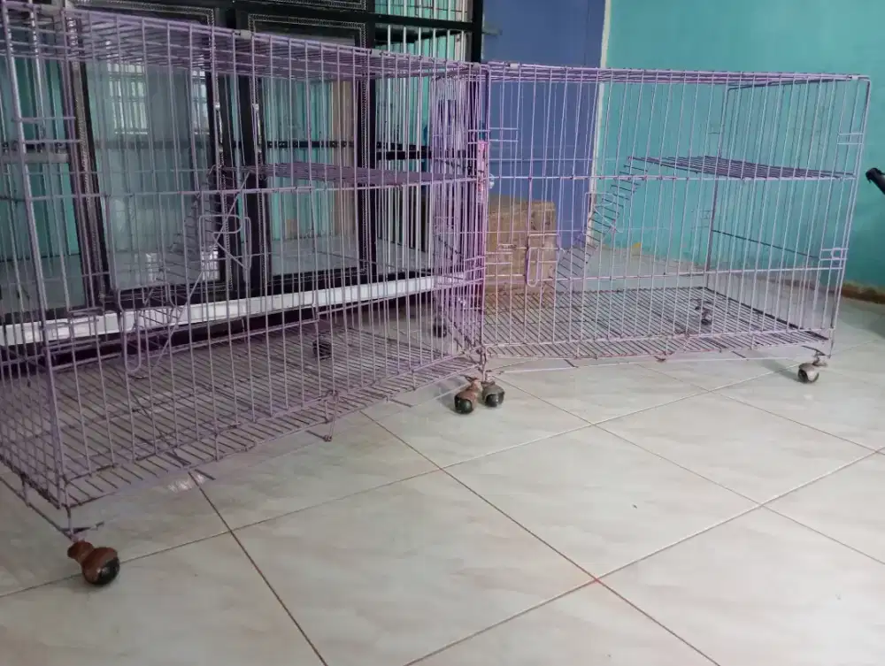 Kandang Kucing Preloved