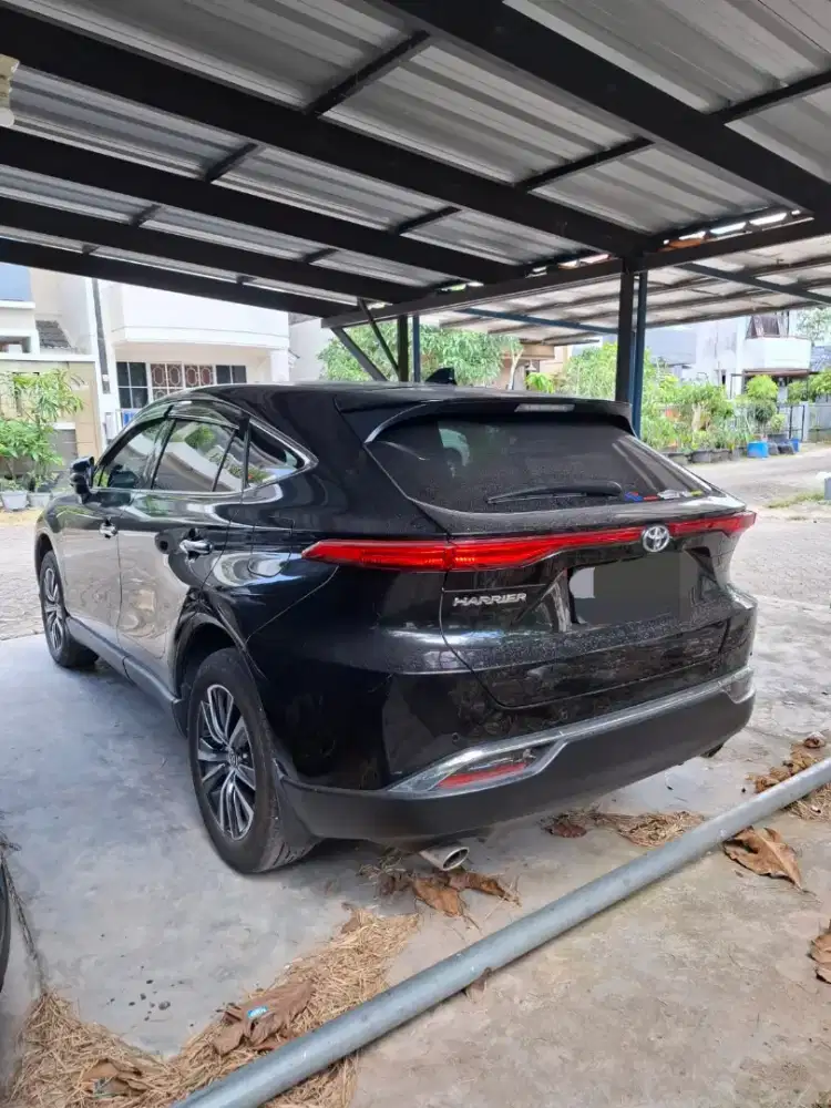 BU , Harrer Des 2023 , open nego