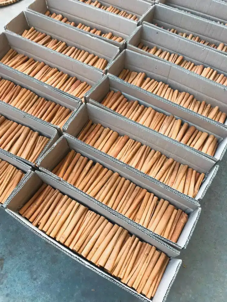 Di butuhkan tenaga admin berpengalaman