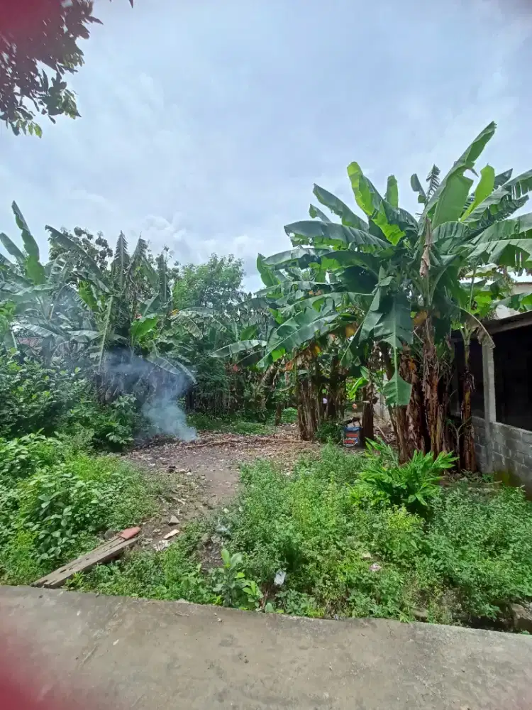 Dijual tanah daerah Potorono Banguntapan