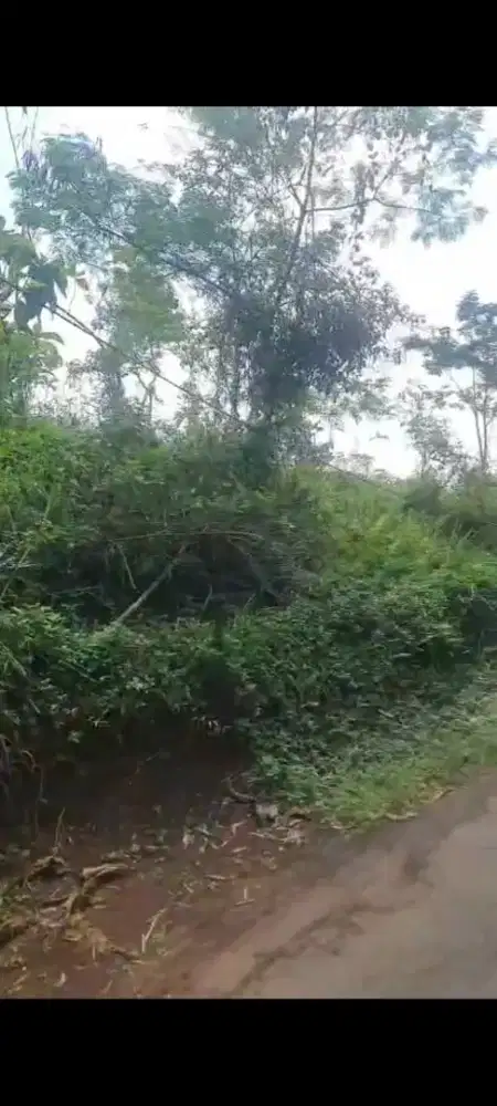 Tanah luas dijual murah