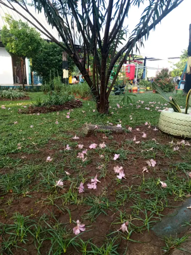 ASISTEN RUMAH TANGGA