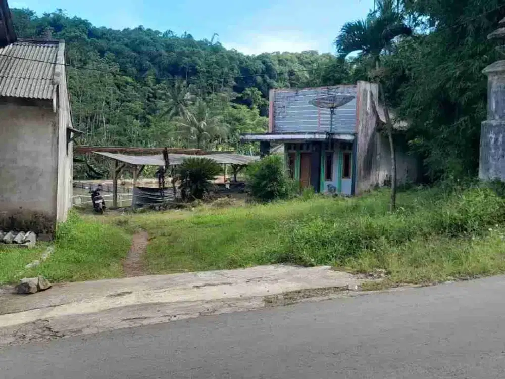 dijual rumah sawah + gazebo