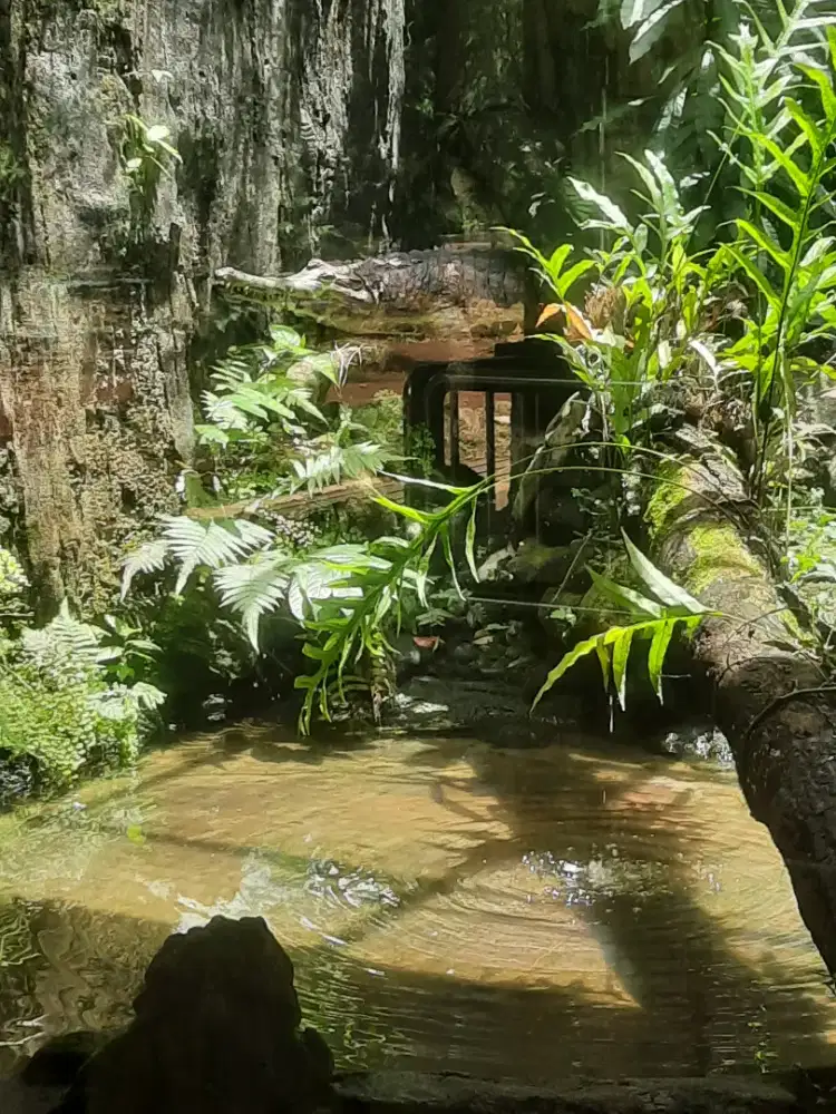 Lagi cari pekerjaan, bukan membuka lowongan