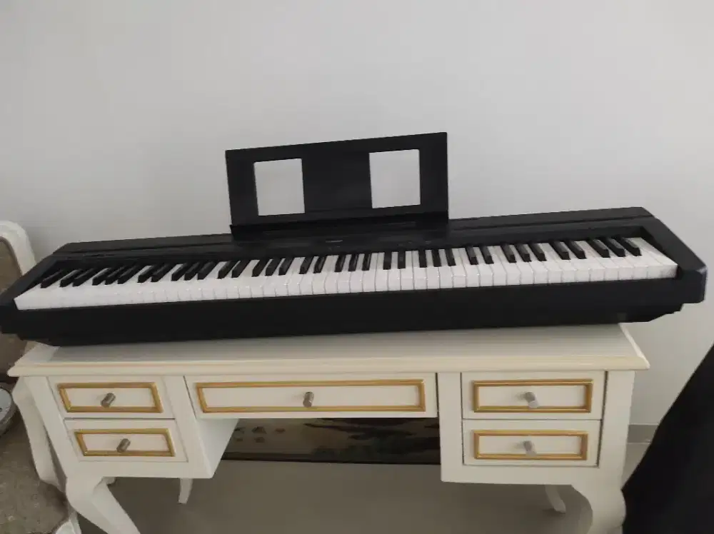 Piano digital hummer  88 keys p 45