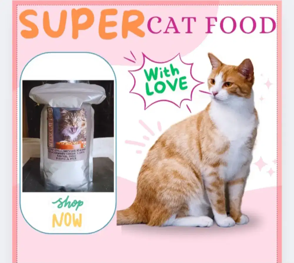 1KG MAKANAN PENGGEMUK KUCING PERSIA ANGGORA CAMPURAN TERLARIS CAT FOOD