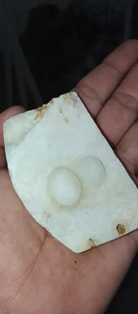 NATURAL MG LAMPUNG LEMPENGAN DAN LOSTUNE 2 PCS MUMER AJA