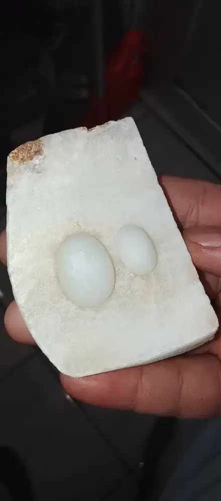 NATURAL MG LAMPUNG LEMPENGAN DAN LOSTUNE 2 PCS MUMER AJA