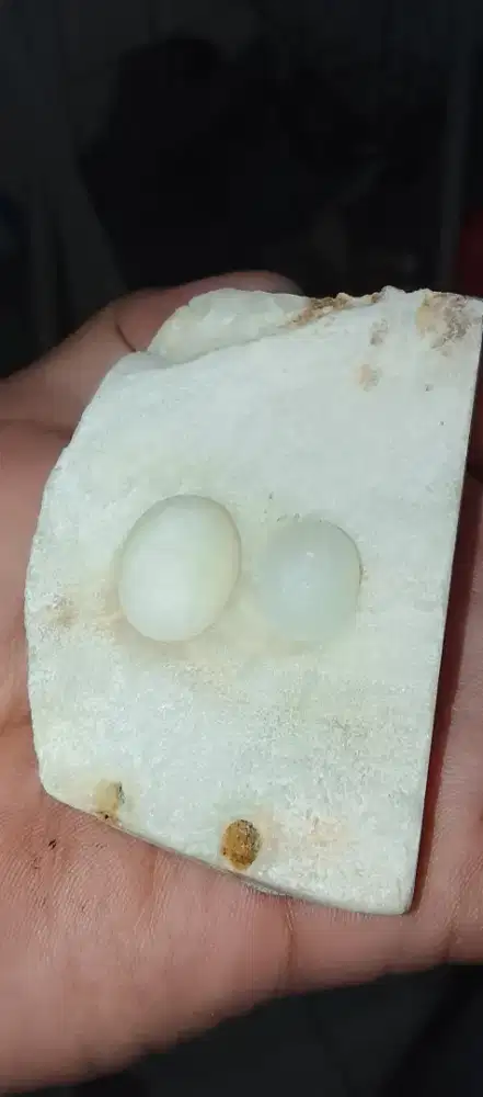 NATURAL  MG LAMPUNG LEMPENGAN DAN LOSTUNE 2 PCS MUMER AJA