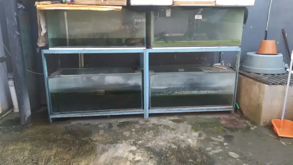 akuarium satu set dan rak