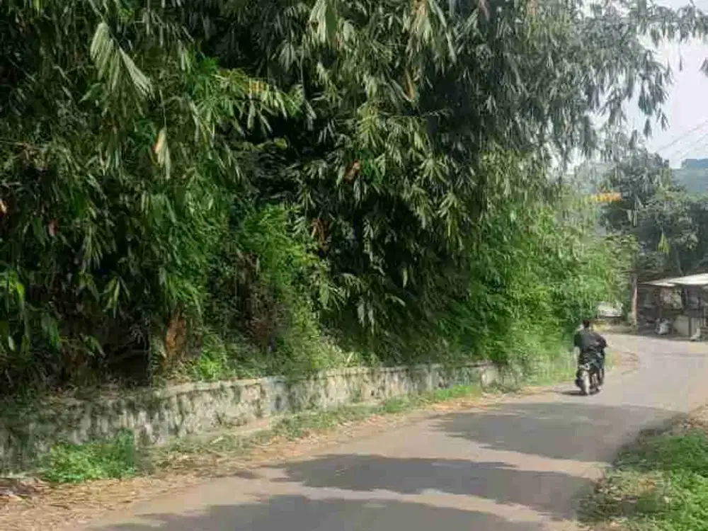 dijual lahan kebun pinggir jalan