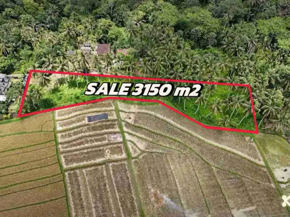 jual tanah view sawah lokasi strategis di tabanan bali