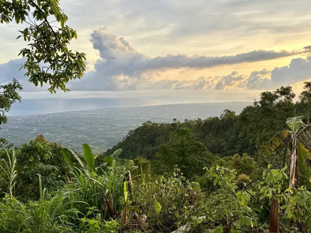 Dijual Lahan View sangat indah Gunung Laut lembah udara sejuk munduk