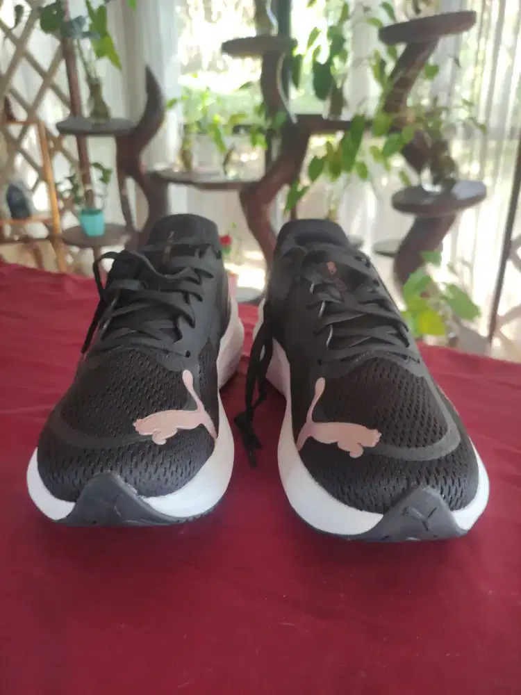 Puma running scend pro 2