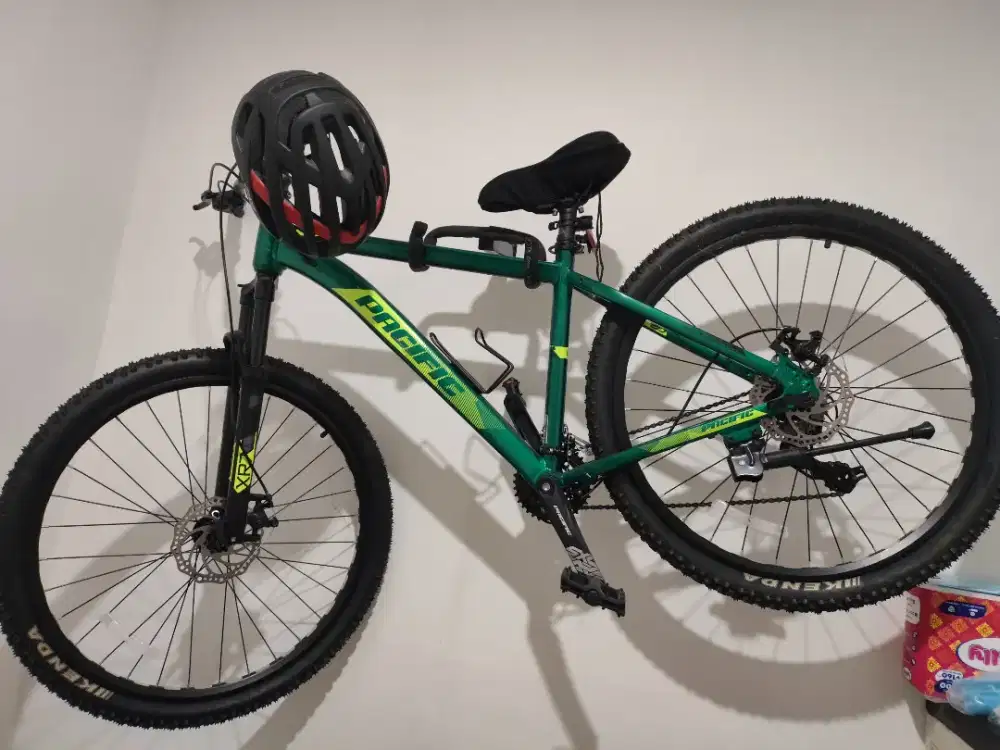 SEPEDA PASIFIC INVERT 400