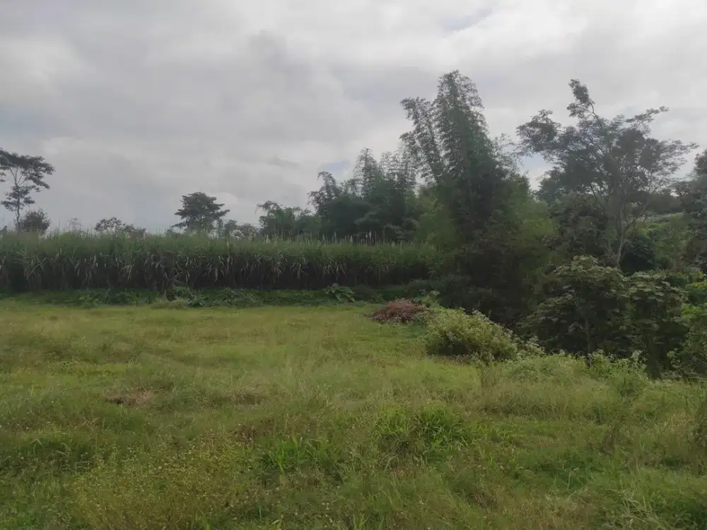 Tanah Kavling Murah dekat ke Kota Malang