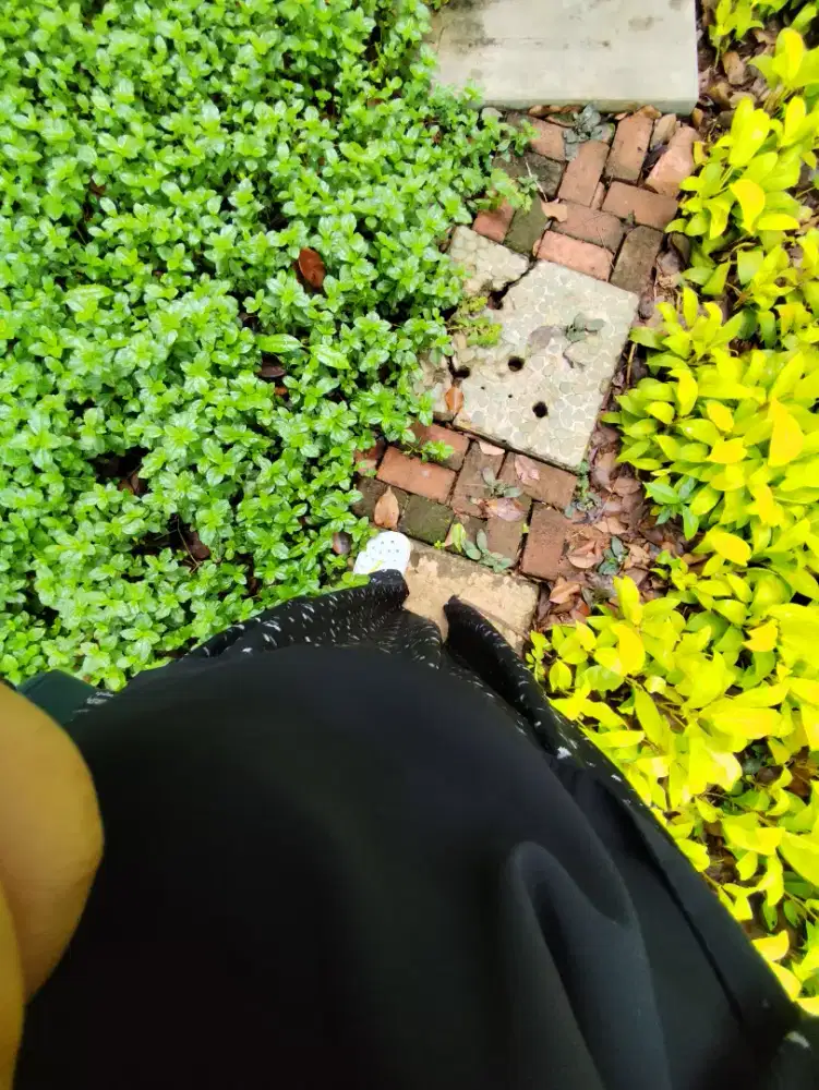 Dibutuhkan PRT berpengalaman