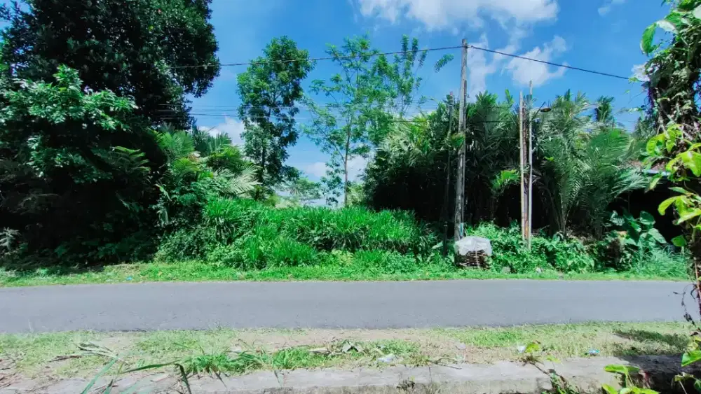 Djual Tanah Sawah Cocok Bwt Usaha Di Jalan Utama Agrowisata