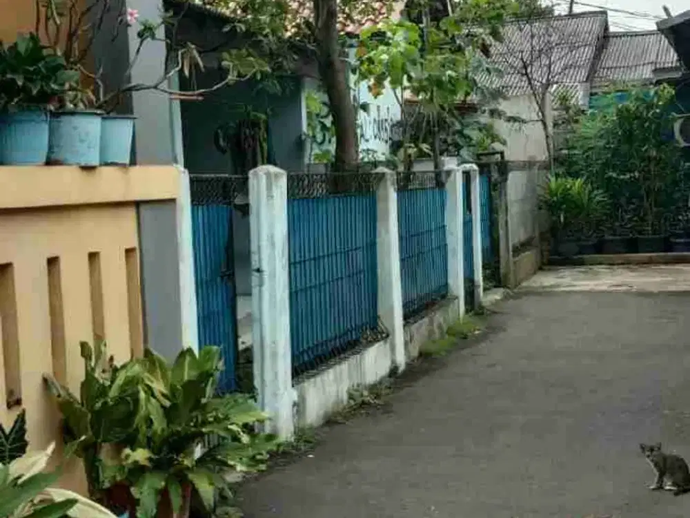 DIJUAL CEPAT 1 RUMAH DAN 2 KONTRAKAN