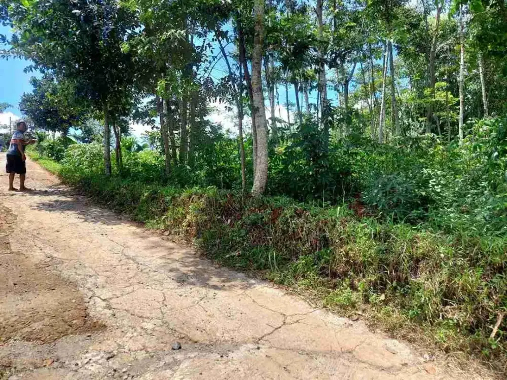 Tanah darat BOMA tanjungsari, 52 bata,