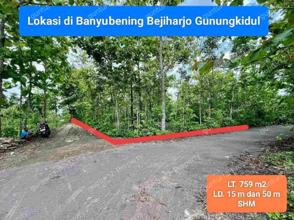 Jual tanah murah mangku 2 jalan di Kawasan Wisata Goa Pindul Bejiharjo Gunung Kidul Lt 759 m2 hanya 125 jt