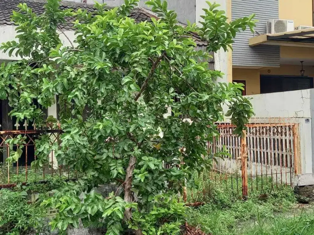 Rumah Rusak Hitung Tanah Area Prime Pondok Indah