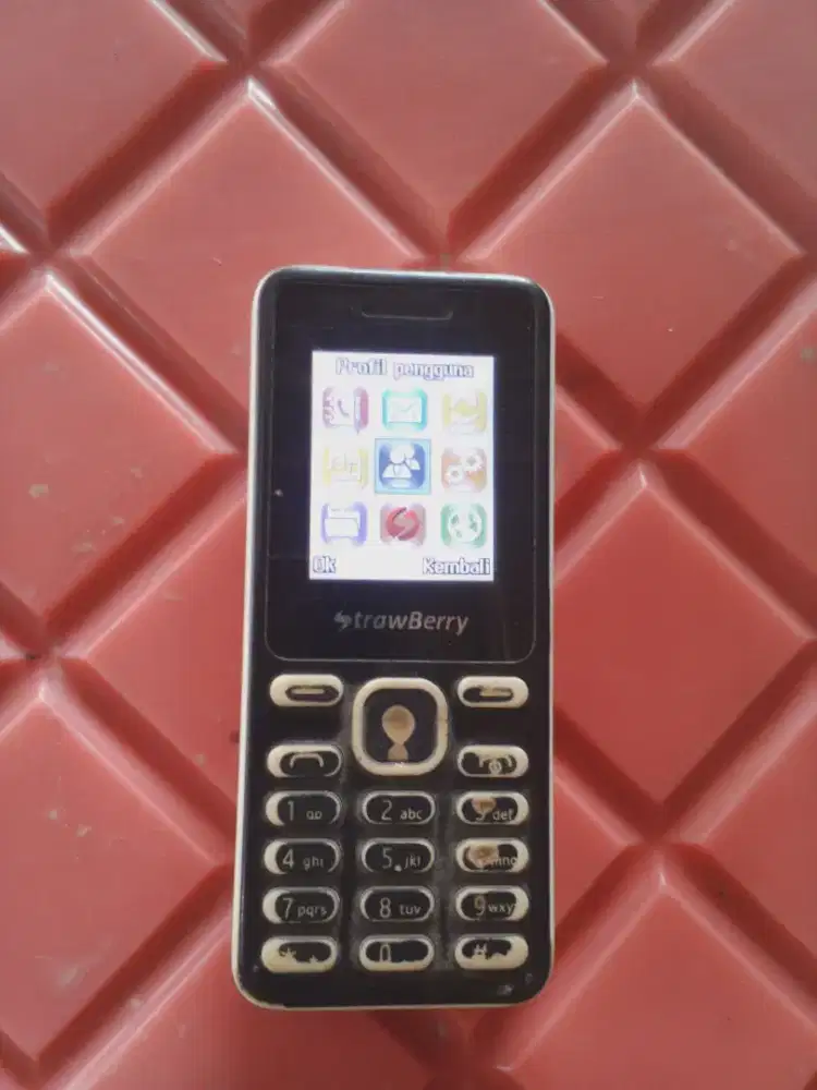 Strawberry ST 22  +carger + memorycard 2gb