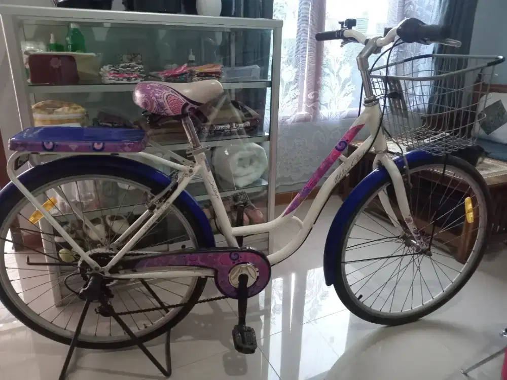 Sepeda Wimcycle College 26