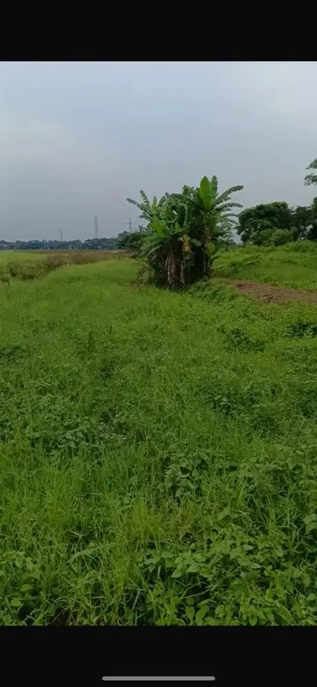 Jual Cepat (Nego sampe jadi)