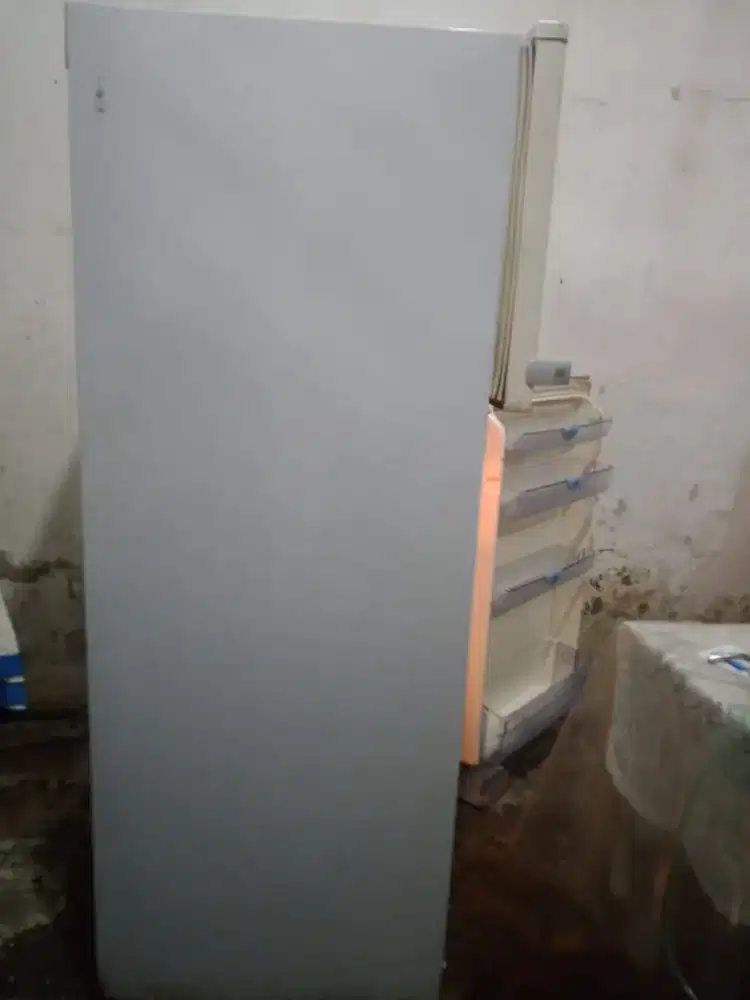 Kulkas Electrolux 2 pintu