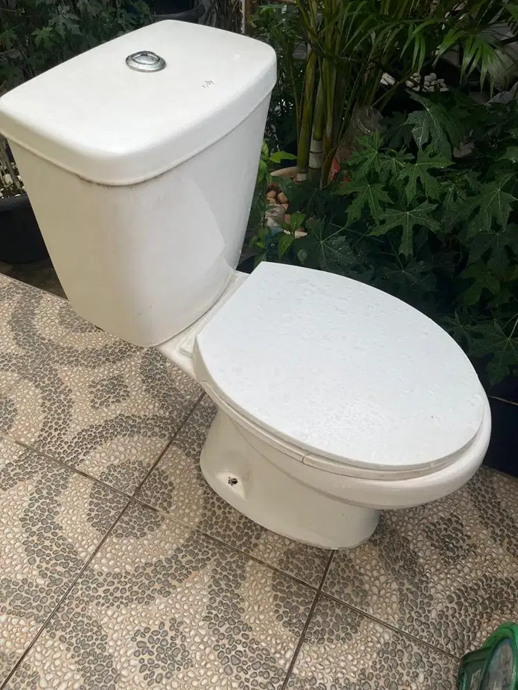 Toilet duduk merk Tidy