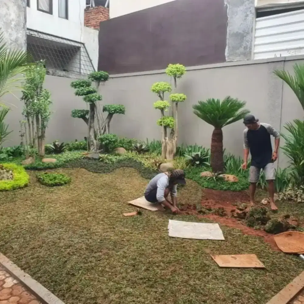 Taman minimalis tukang taman pasang taman