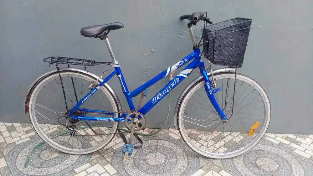 Sepeda City Bike 26 Alloy