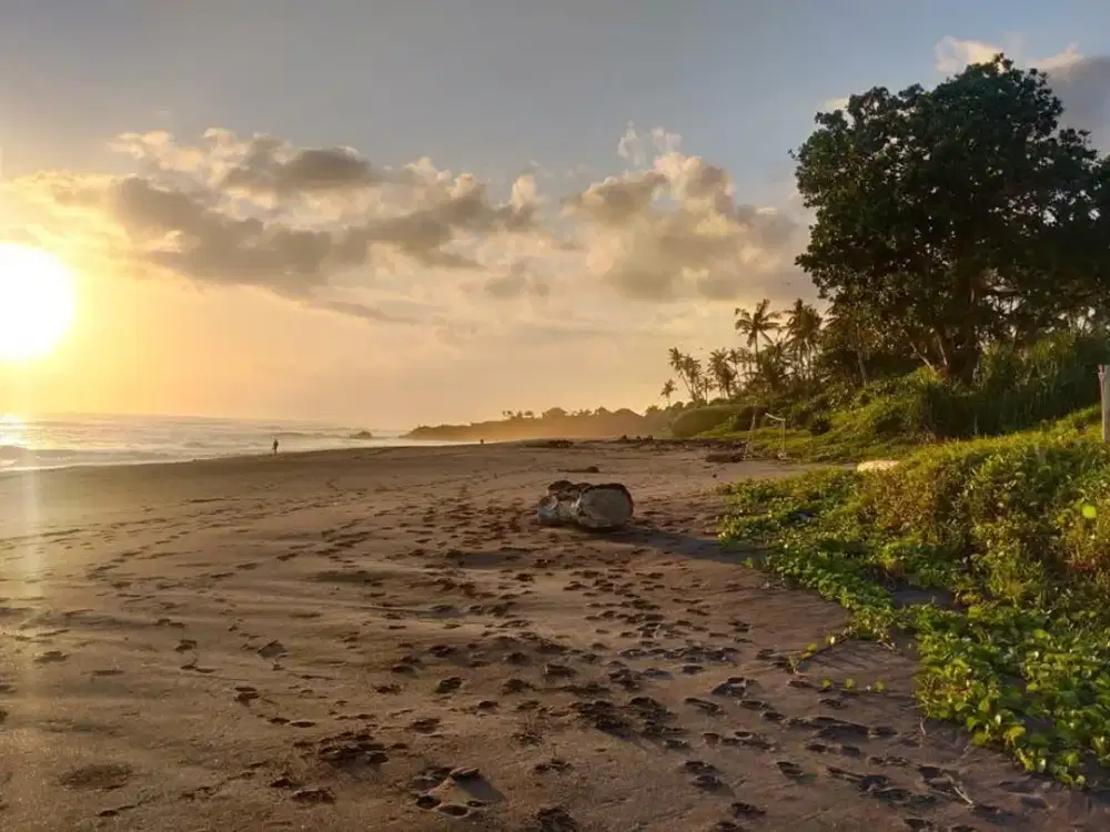 Tanah Beach Front Pantai kedungu Tabanan Bali
