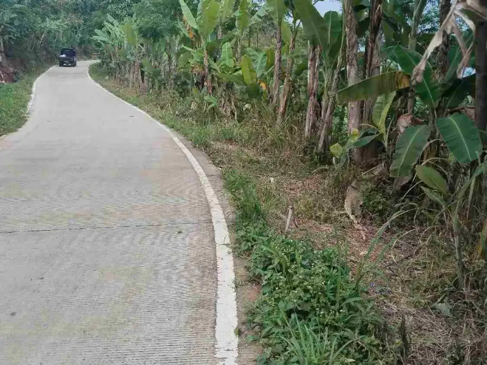 jual tanah murah pinggir jln kabupaten