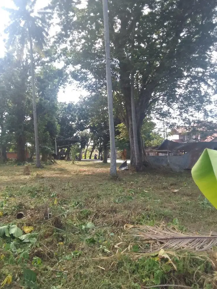 Tanah luas, dan rata dijual cepat