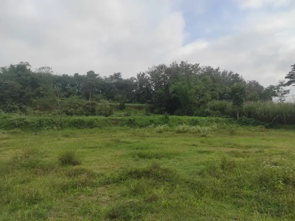 Tanah Kavling Murah Kota Malang area Wagir