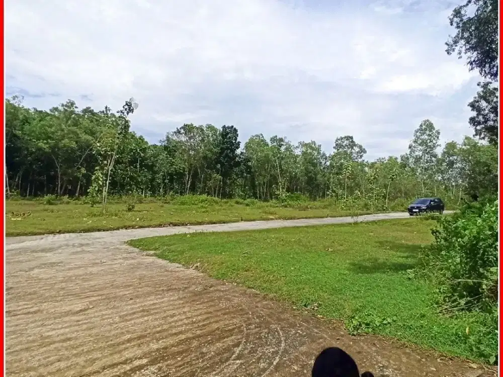 Selatan POLRES Kulonprogo, Tanah Jogja dijual : Siap AJB