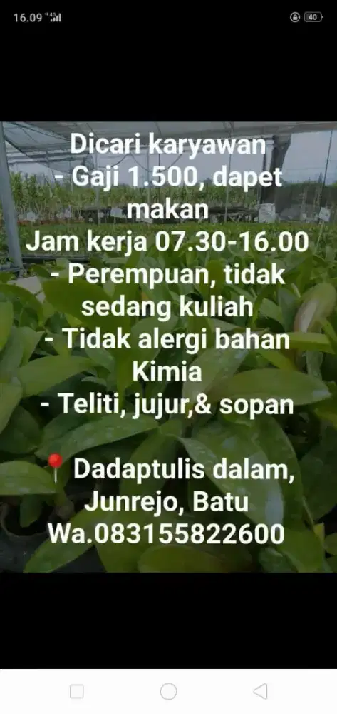 Karyawan Laboratorium