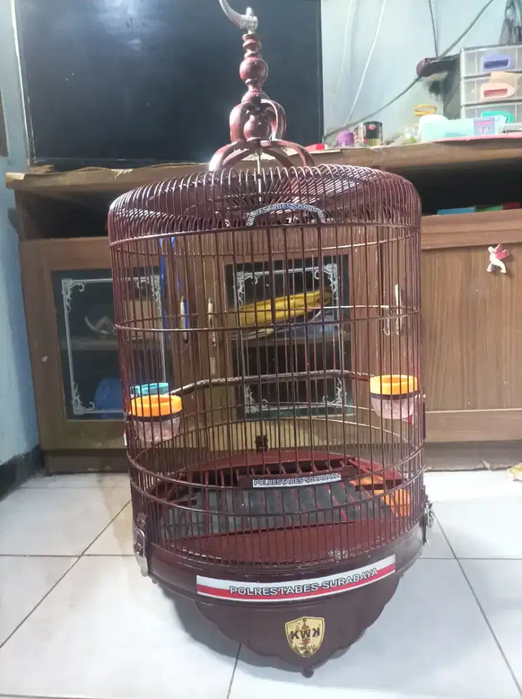 Sangkar Anis merah Merk KwK original D.40