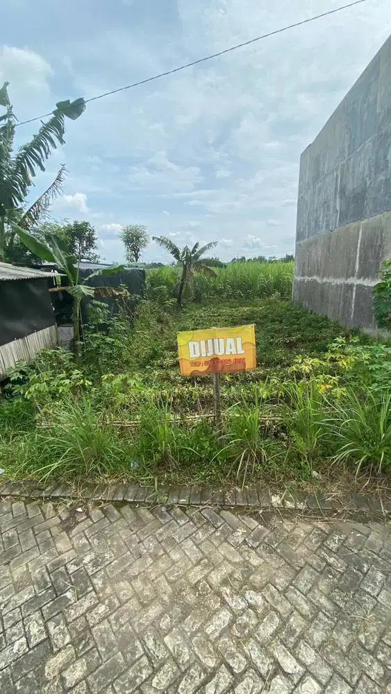 JUAL TANAH BONUS SAJADAH