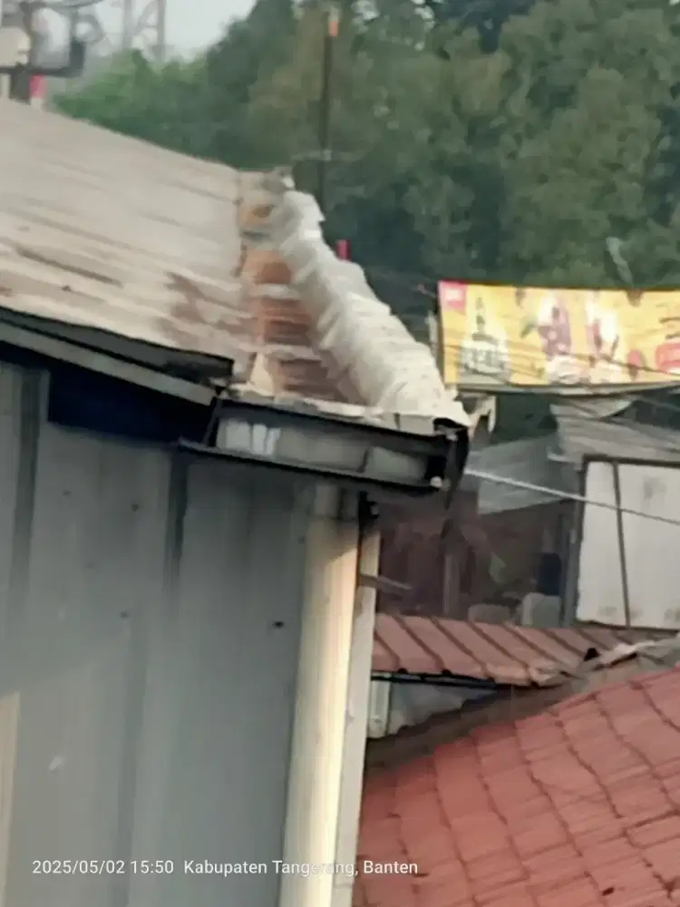 Tukang atap bocor ganti atap rumah dll