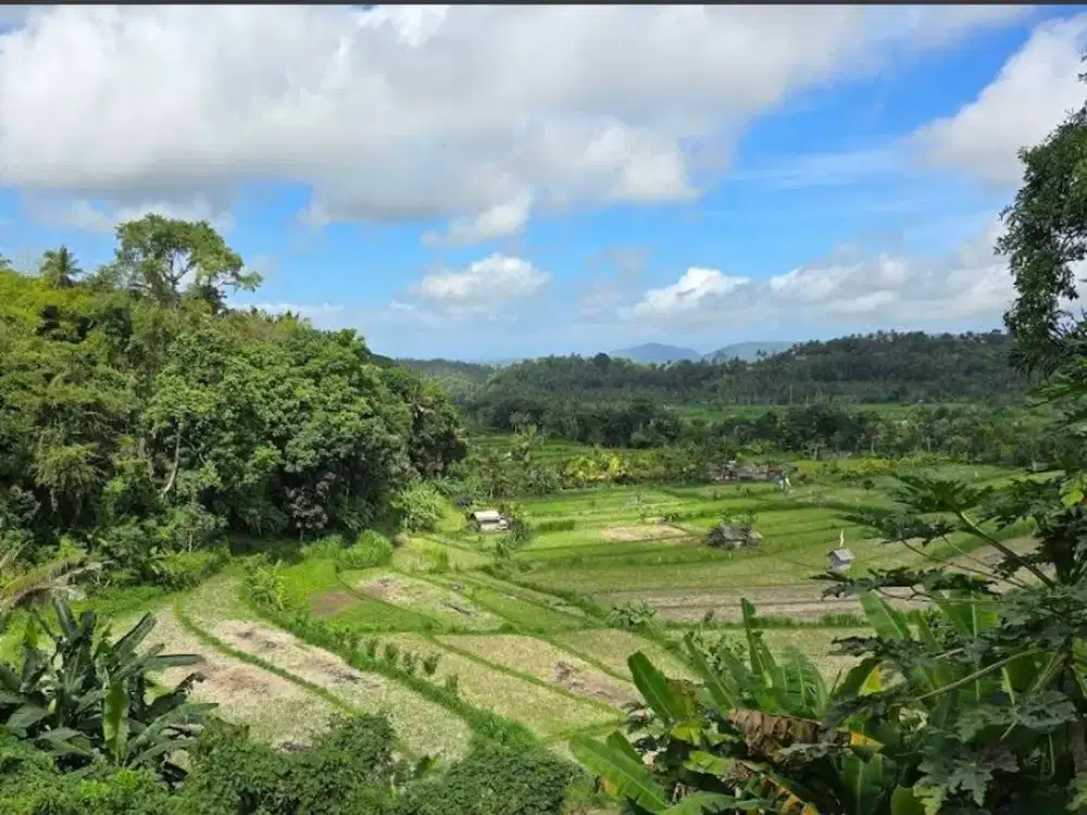 Land leasehold 1ha riceview Tirtagangga ababi karangasem