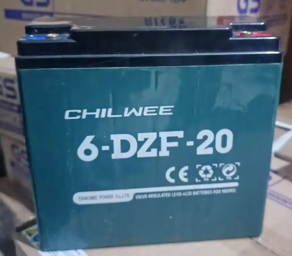 Chilwe 6-Dzf-20