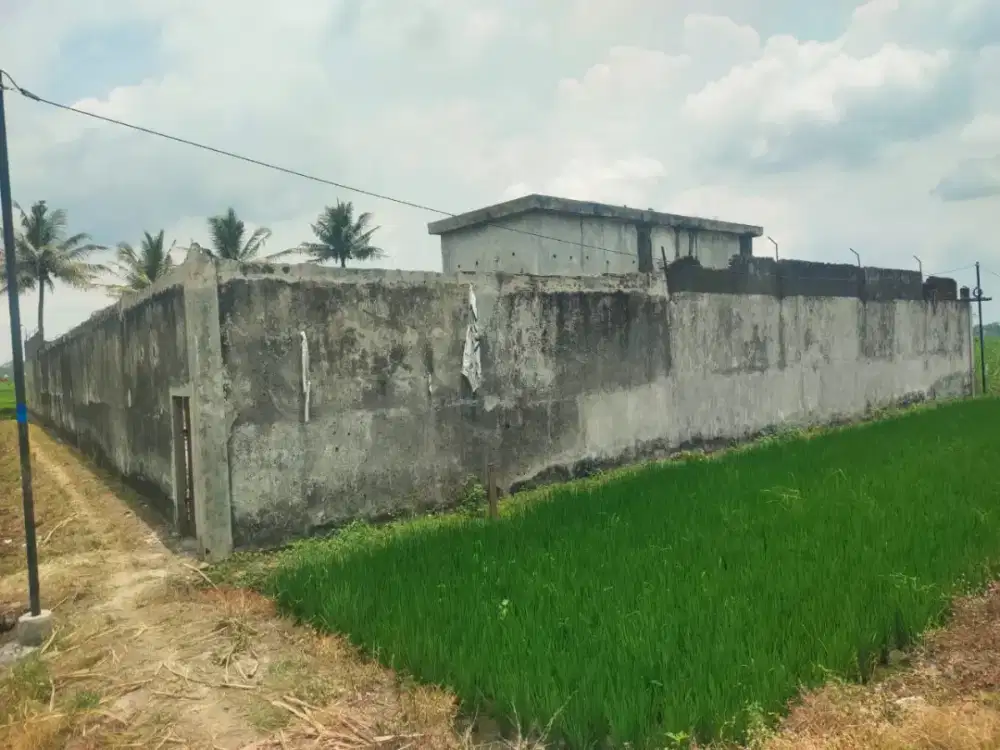 DISEWAKAN BEKAS PETERNAKAN AYAM BEBEK KAMBING SAPI