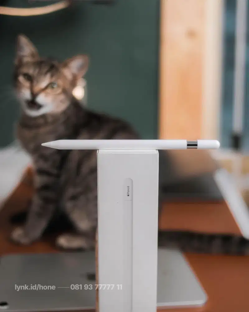 Apple Pencil USB-C ORI 10000% FULLSET ORIGINAL TERMURAH