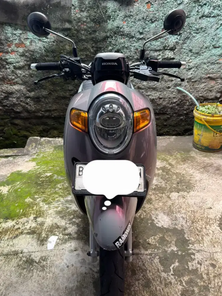 Scoopy Stylish 2018
