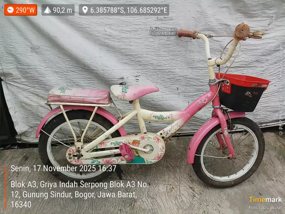 Sepeda anak cewe wimcyckle frozen 16 tinggal pake