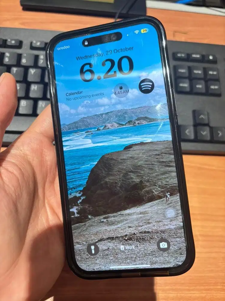 Iphone Pro Max 256GB (iBox)